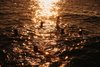 Louis Vuitton Fashion Eye Ibiza 2026 Group Swimming In Sea