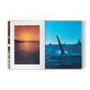 Louis Vuitton Fashion Eye Ibiza Book Maya Poon Interim Mobile v2